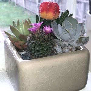 Meet your Posher, Jacob